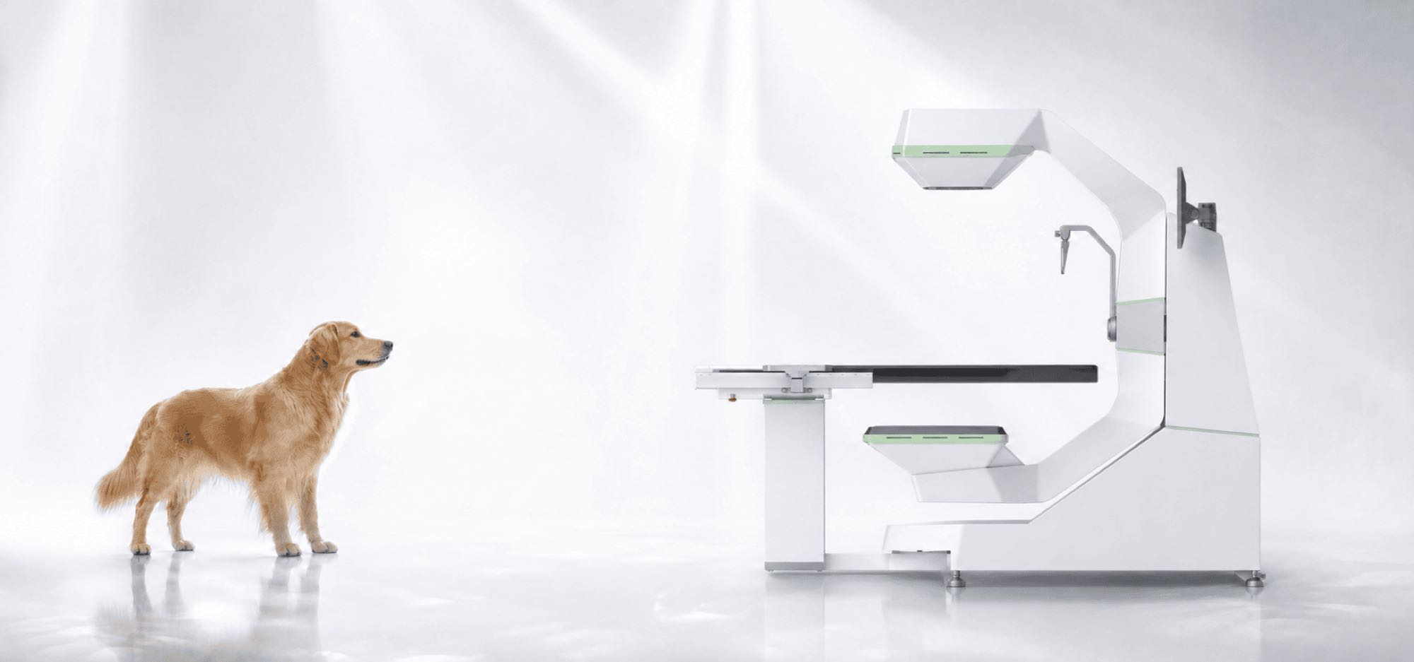 FIDEX+