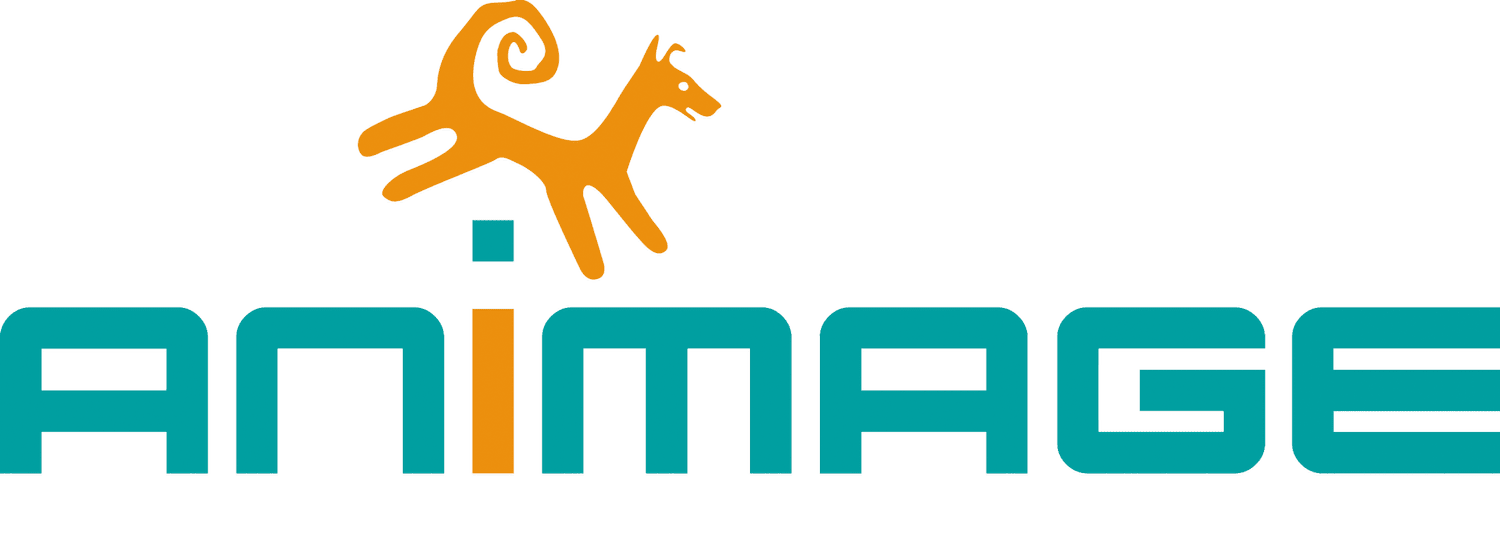 Animage